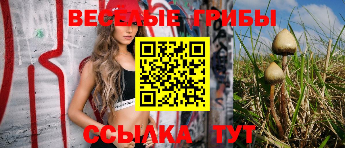 Галлюциногенные грибы MAGIC MUSHROOMS  Северобайкальск 