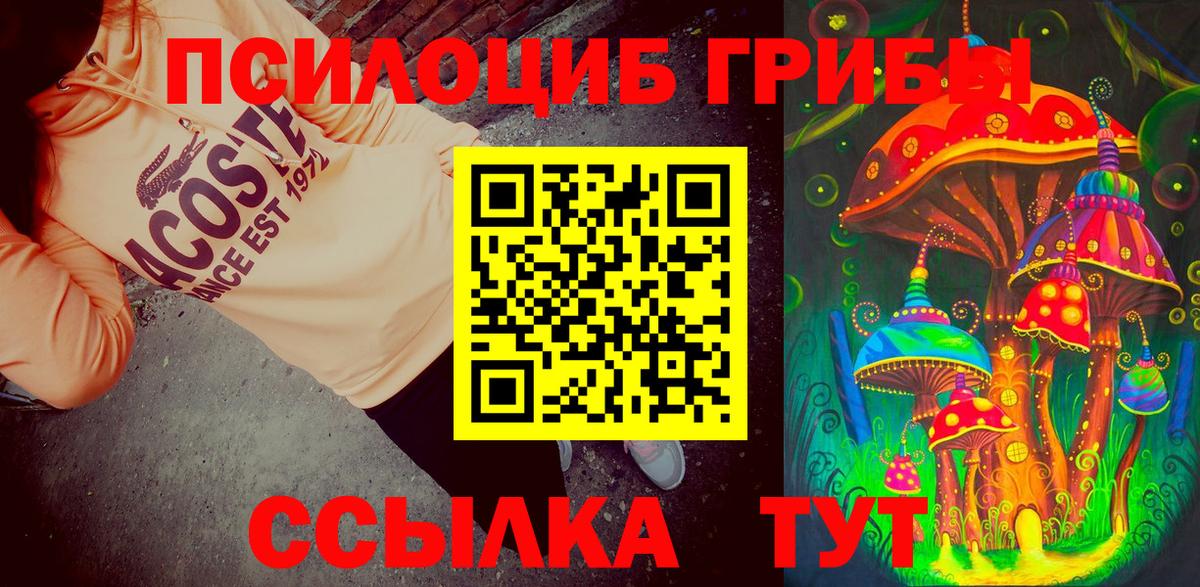 Галлюциногенные грибы прущие грибы Северобайкальск